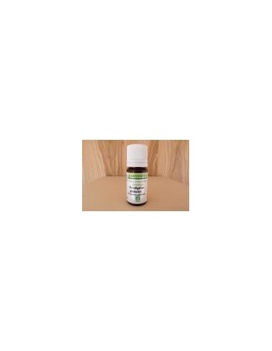 Huile essentielle biologique d'Eucalyptus globulus - 10ml