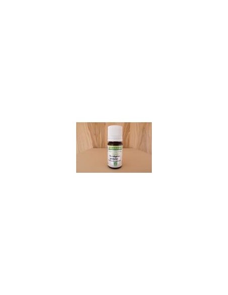 Huile essentielle biologique d'Eucalyptus globulus - 10ml